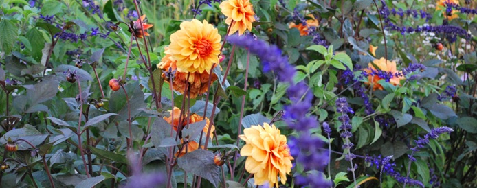 David Howard @ Dixter